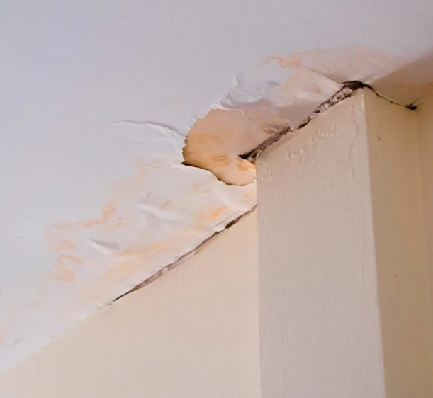 Tenant photo of ceiling stain