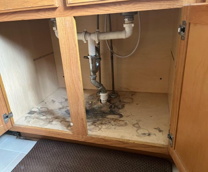 Leaking pipes found under the sink